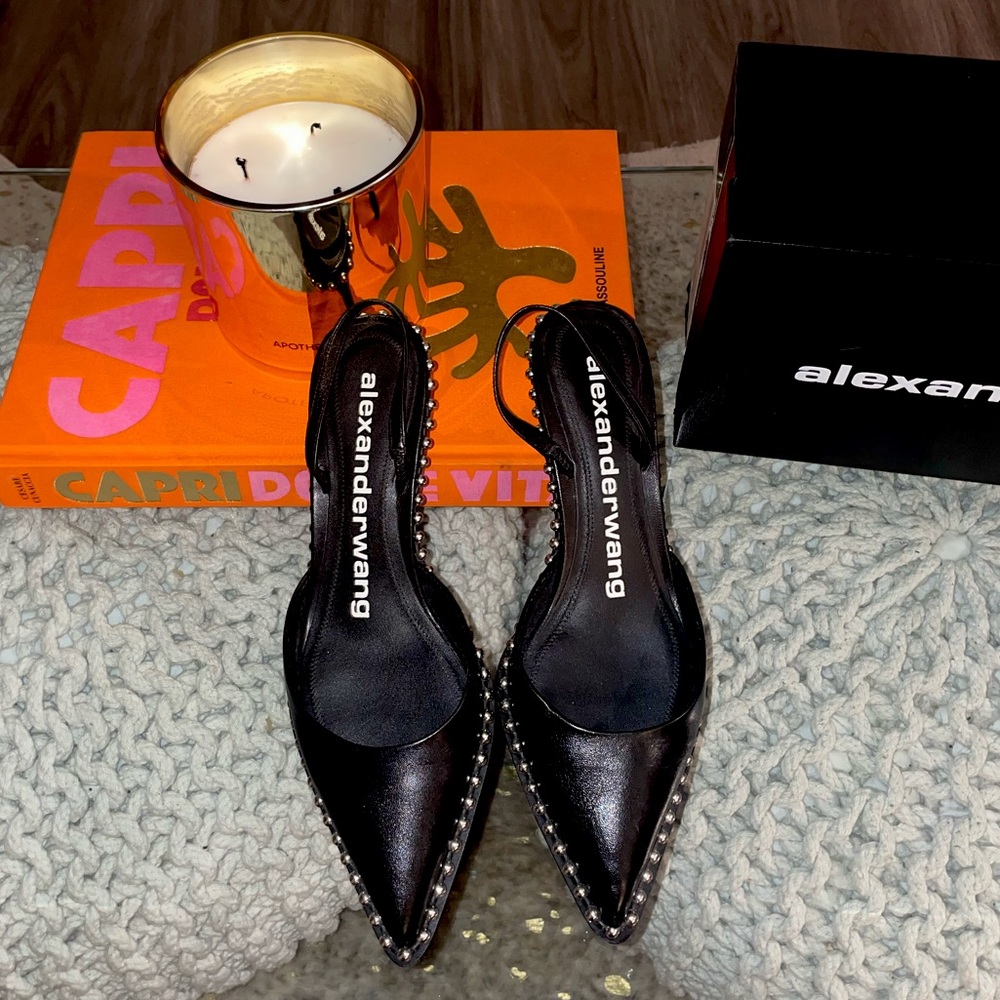 Alexander Wang Rina Low Calf Kitten Heel